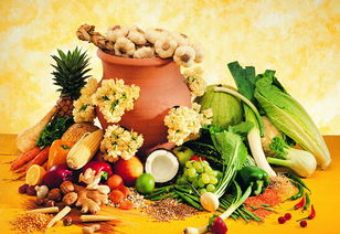 日本小學(xué)集體食物中毒 催吐導(dǎo)瀉的急救解讀與日常防護(hù)